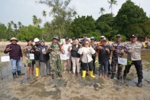 PT BSP Tanam 1.000 Mangrove di Pulau Ngenang, Perkuat Komitmen Hijau KEK Tanjung Sauh