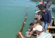 Tokoh Masyarakat Lingga Dukung Pemkab Lingga dalam Pengembangan Rumput Laut