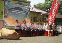 Perluas Manfaat bagi Masyarakat Melalui Semangat Kebersamaan, Telkomsel Salurkan Hewan Kurban Iduladha 1447 H