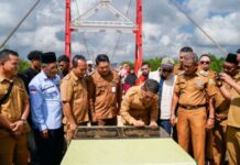 Kini Jembatan Tok Kenot Hubungkan Desa Tebias dan Desa Sungai Asam di Karimun