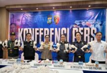 Selundupkan 100 Ribu Benih Lobster Via Bandara, Dua Pelaku Dibekuk di Mega Legenda