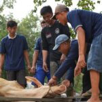 BP Batam Salurkan 33 Hewan Kurban di Idul Adha 1447 H, Daging Dibagikan ke Masyarakat dan Petugas Kebersihan