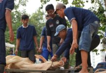 BP Batam Salurkan 33 Hewan Kurban di Idul Adha 1447 H, Daging Dibagikan ke Masyarakat dan Petugas Kebersihan