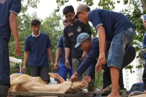 BP Batam Salurkan 33 Hewan Kurban di Idul Adha 1447 H, Daging Dibagikan ke Masyarakat dan Petugas Kebersihan