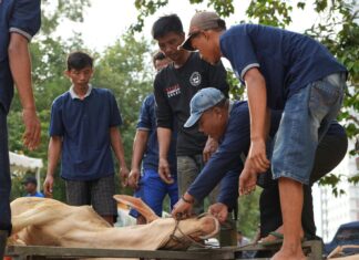 BP Batam Salurkan 33 Hewan Kurban di Idul Adha 1447 H, Daging Dibagikan ke Masyarakat dan Petugas Kebersihan