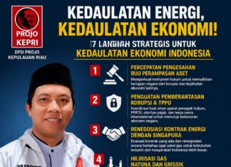 Gas Natuna untuk Indonesia Dulu: Projo Kepri Desak Renegosiasi Kontrak Ekspor ke Singapura, Prioritaskan Hilirisasi