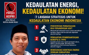 Gas Natuna untuk Indonesia Dulu: Projo Kepri Desak Renegosiasi Kontrak Ekspor ke Singapura, Prioritaskan Hilirisasi