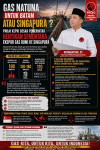 “Batam Menunggu, Singapura Menikmati”: Projo Kepri Minta Gas Natuna Dialihkan untuk Kebutuhan Domestik