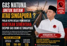 “Batam Menunggu, Singapura Menikmati”: Projo Kepri Minta Gas Natuna Dialihkan untuk Kebutuhan Domestik