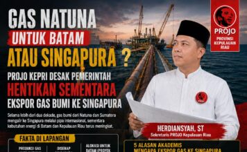 “Batam Menunggu, Singapura Menikmati”: Projo Kepri Minta Gas Natuna Dialihkan untuk Kebutuhan Domestik