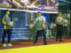 Sekda Bintan Buka Turnamen Bola Volly Desa Gunung Kijang Cup III Tahun 2026