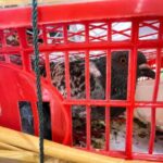 Merpati, Kucing hingga Bawang dari Kepri Ditahan Karantina Jambi