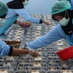 53 SPPG di Batam Beroperasi Lagi, Libur Sekolah MBG Stop