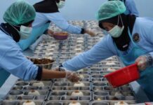 53 SPPG di Batam Beroperasi Lagi, Libur Sekolah MBG Stop