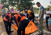 Tiga Hari Dicari Tim SAR, Balita Terseret Arus Drainase di Sengkuang Ditemukan Meninggal