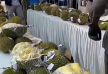 6 Agenda Wisata Unggulan Kepri pada Juli 2026, Diantaranya Festival Durian Bentan