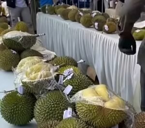 6 Agenda Wisata Unggulan Kepri pada Juli 2026, Diantaranya Festival Durian Bentan