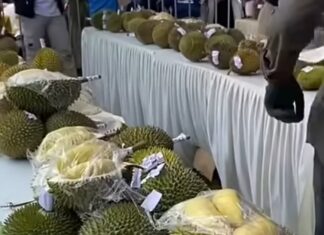 6 Agenda Wisata Unggulan Kepri pada Juli 2026, Diantaranya Festival Durian Bentan