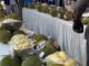 6 Agenda Wisata Unggulan Kepri pada Juli 2026, Diantaranya Festival Durian Bentan
