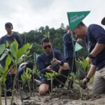 Telkomsel Tanam 3.000 Mangrove di Pesisir Selatan, Perkuat Pelestarian Pesisir
