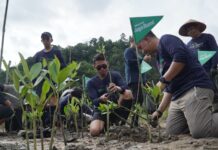 Telkomsel Tanam 3.000 Mangrove di Pesisir Selatan, Perkuat Pelestarian Pesisir