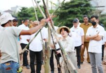 Claudia Tanam Pohon, Awali Penataan DAS Baloi Indah Jadi Taman Kota