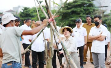 Claudia Tanam Pohon, Awali Penataan DAS Baloi Indah Jadi Taman Kota