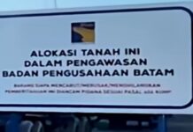 2 Tahun Tidak Dibangun, 614 Hektare Lahan Tidur Terancam Ditarik BP Batam