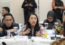 Anggota Banggar DPR RI Puteri Komarudin Dukung BP Batam Genjot Investasi di Kawasan Strategis Kota Batam