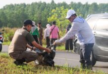 Pemprov Kepri Gelar Kamis Bersih, Gubernur Ansar Pimpin Gotong Royong di Bukit Bestari