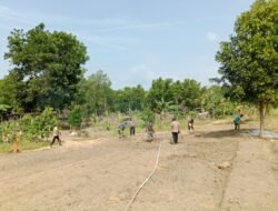 Satgas TMMD ke-129 Kebut Penyiapan Lahan Ketahanan Pangan, Progres 99 Persen
