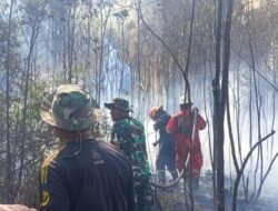 Usai Toapaya, Giliran Hutan Desa Penaga Terbakar Ditangani Tim Damkar Kodim 0315/Tanjungpinang