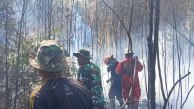 Usai Toapaya, Giliran Hutan Desa Penaga Terbakar Ditangani Tim Damkar Kodim 0315/Tanjungpinang