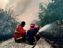 35 Hektare Lahan di Batam Terbakar, Berawal dari Tembesi hingga Trans Barelang