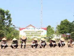 Polres Bintan Tanam Jagung Pipil Kuartal III, Dukung Ketahanan Pangan Nasional