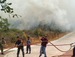 Cegah Api Meluas, Koramil 02/Bintim Bersama Pemda Padamkan Karhutla di Kawal