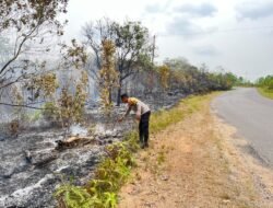 Kebakaran Lahan ±1 Hektare di Toapaya Asri Berhasil Dipadamkan