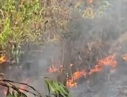 Kualitas Udara Buruk Akibat Asap Karhutla, Ribuan Warga di Batam Kena ISPA