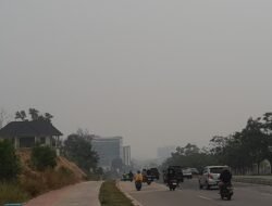 Kabut Asap Karhutla makin Pekat, Jumlah Pasien ISPA di Kepri Meningkat