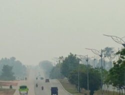 Kabut Asap Akibat Kebakaran Hutan dan Lahan (Karhutla) Melanda Kota Batam