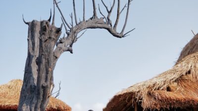Lewat “Satu Benang Untuk Sade, BSI Ajak Masyarakat Bantu Pulihkan Desa Wisata di Lombok