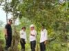 TMA Anjlok 4,5 Meter, Kepala BP Batam Amsakar Turun Gunung Selamatkan Air Nongsa!