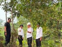 TMA Anjlok 4,5 Meter, Kepala BP Batam Amsakar Turun Gunung Selamatkan Air Nongsa!