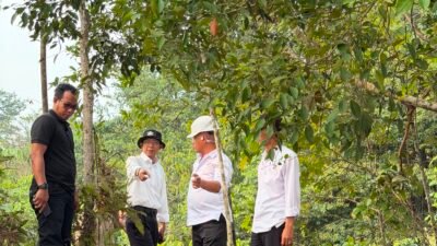 TMA Anjlok 4,5 Meter, Kepala BP Batam Amsakar Turun Gunung Selamatkan Air Nongsa!