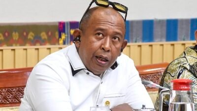 Anggota DPR RI Dapil Kepri Rizki Faisal Dorong Karhutla Ditetapkan sebagai Bencana Nasional