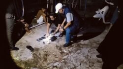 Satresnarkoba Polres Bintan Ungkap Kasus Narkotika, 1 Pria dan 36 Paket Diduga Sabu Diamankan