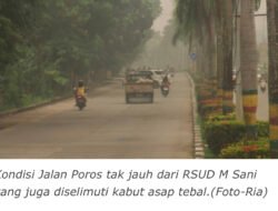 Kabut Asap Tebal Status Sangat Tidak Sehat, Dinkes Karimun Catat 258 Kasus ISPA